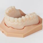 Impresora 3D de resina PioCreat D150 15 Modelo de dentadura superior para entrenamiento dental, utilizado en clínicas y escuelas para practicar procedimientos odontológicos y mejorar habilidades clínicas.