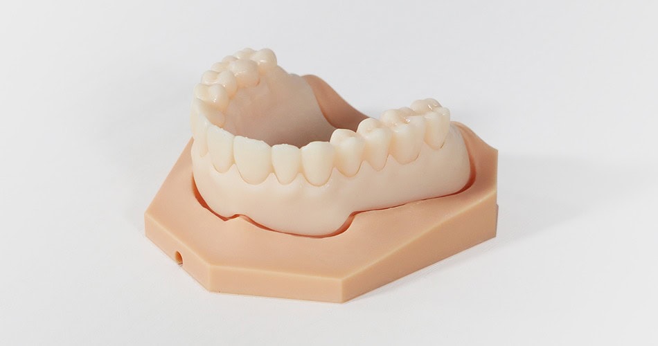 Impresora 3D de resina PioCreat D150 4 Modelo de dentadura superior para entrenamiento dental, utilizado en clínicas y escuelas para practicar procedimientos odontológicos y mejorar habilidades clínicas.