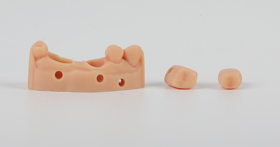 Impresora 3D de resina PioCreat D150 5 Sustrato de prótesis dentales con orificios para ajuste y soporte.